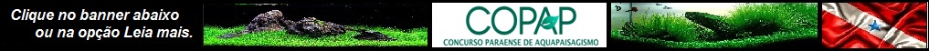banner de noticias